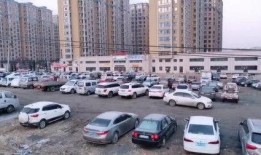 沈阳小区停车爆料视频,视频揭露惊人一幕