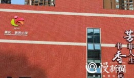 重庆新学校爆料新闻,揭秘校园新动态与亮点