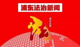 浦东爆料电话大全新闻,一网打尽便民服务热线