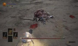 黑龙爆料假拳视频大全集,假拳视频大全集深度剖析