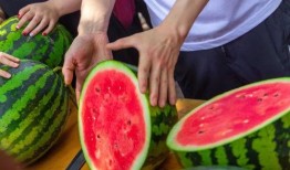 免费吃瓜骗局,警惕网络陷阱