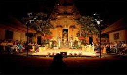 海王宫老板爆料视频大全,视频大全背后的惊人真相