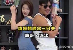 嘎纳夫妻爆料事件视频播放,真相与争议交织