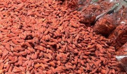 枸杞硫磺爆料视频播放大全,揭秘枸杞市场乱象