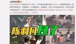 八卦爆料王绮琴视频全集,王绮琴视频全集揭秘，精彩瞬间一网打尽