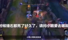 黑龙爆料假拳视频大全集,假拳视频大全集深度剖析