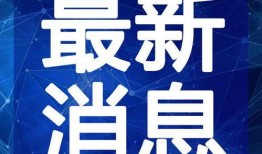 爆料高密豪迈套路视频最新,视频爆料揭示惊人内幕