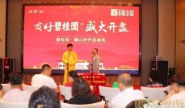 新疆碧桂园爆料最新消息,揭秘项目进展与未来规划