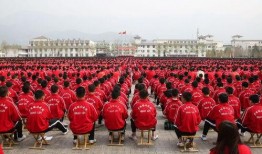 塔沟武校爆料案件最新,揭开校园暴力背后的真相