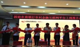 河南农商行最新爆料,揭秘金融乱象背后的真相