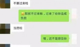 吃瓜微信免费聊天记录,一场趣味横生的社交盛宴