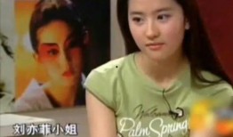 嘎纳夫妻爆料事件视频播放,真相与争议交织