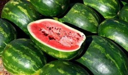 免费吃瓜骗局,警惕网络陷阱