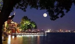 平湖秋月爆料最新消息视频,揭秘视频背后的惊人真相