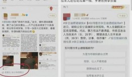 吃瓜娱乐圈文件,揭秘“吃瓜”背后的真相与内幕