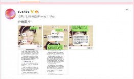 薛小婉最新爆料新闻,最新爆料揭露惊人内幕