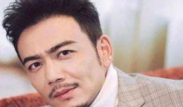 杨烁最新爆料,揭秘演艺圈幕后真相