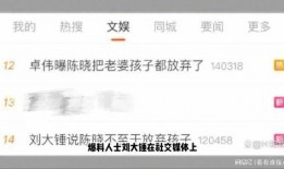 刘大锤恋情爆料视频大全,视频大全揭秘甜蜜瞬间