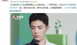 张小寒最新爆料黑子视频,真相与争议并存