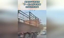 美女骑手爆料视频在线观看,独家爆料视频在线观看，精彩瞬间不容错过
