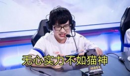 猫神直播间爆料视频下载,揭秘热门视频幕后故事