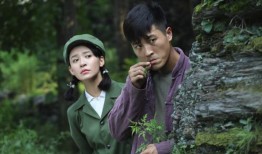 绽放吧百合电视剧在线观看50集,50集情感巨制，全景展现女性成长历程