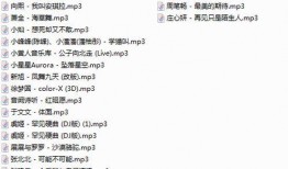 抖音网红吃瓜百度云下载链接,独家下载链接大揭秘！