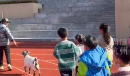 塔沟武校爆料案件最新,揭开校园暴力背后的真相