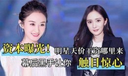 明星身后资本爆料视频,独家视频深度解析