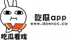 娱乐吃瓜喵a,揭秘娱乐圈那些不为人知的幕后故事