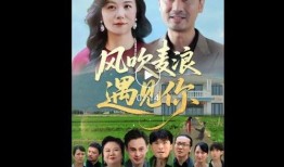 你在线观看,揭秘网络视频的崛起与影响