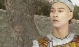 戏说乾隆高清在线观看,穿越时空的传奇皇帝高清在线观看之旅