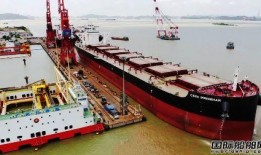 昆明爆料海燕视频最新消息,海燕视频最新动态揭秘