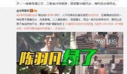 张小寒最新爆料黑子视频,真相与争议并存