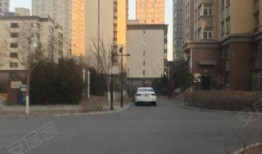 开源嘉苑爆料事件视频,事件背后真相曝光