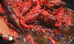 爆料小龙虾做法视频教学,跟随视频学做美味佳肴